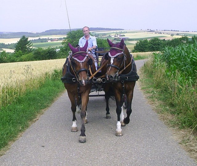 Helmut mit Lucas und Angel Helmut Hackh mit Kutsche